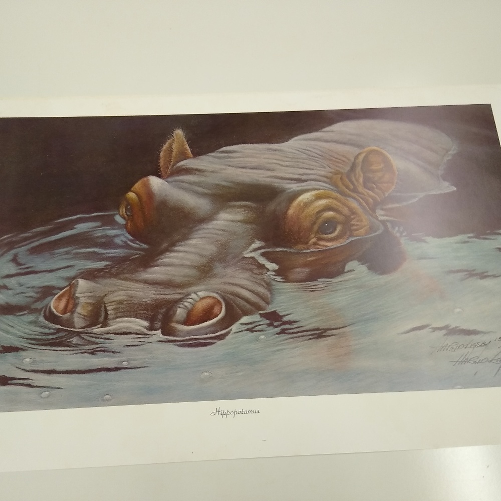 Hippopotamus By Harold Rigsby 132/200 Signed